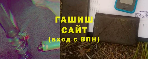 хмурый Бикин