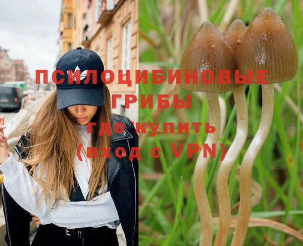 apvp Надым