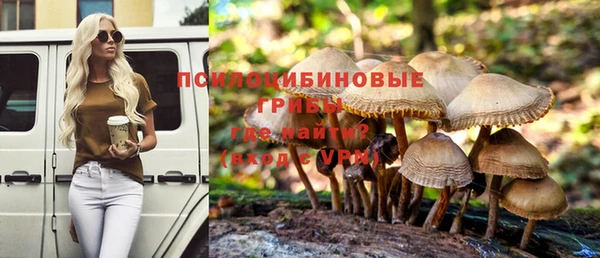 ГАЛЛЮЦИНОГЕННЫЕ ГРИБЫ Навашино