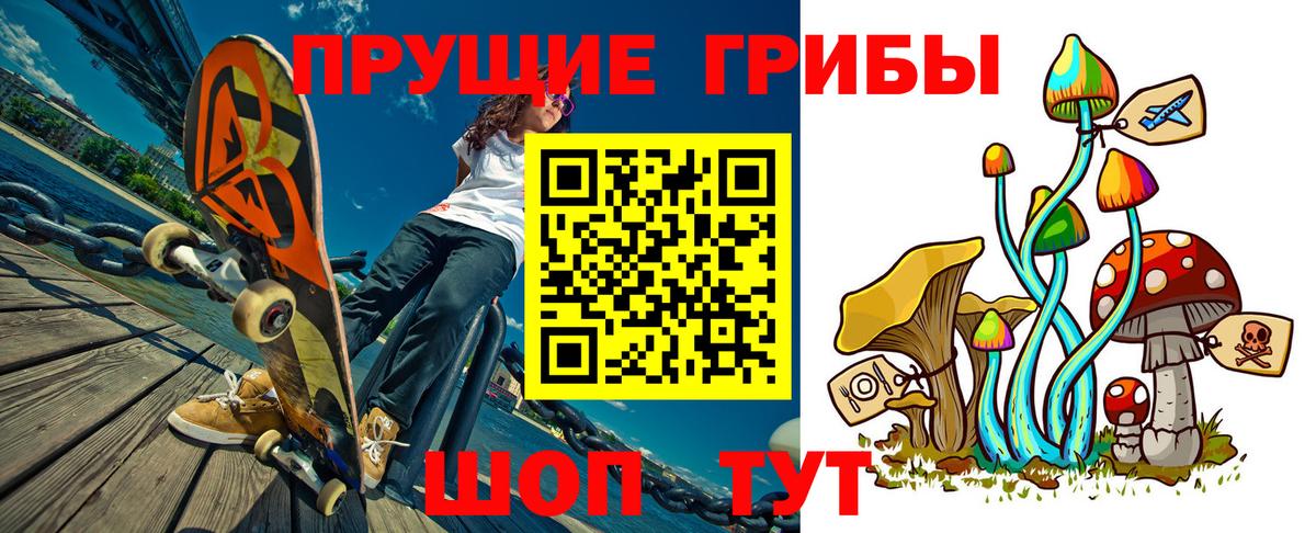 Галлюциногенные грибы Cubensis Ессентуки