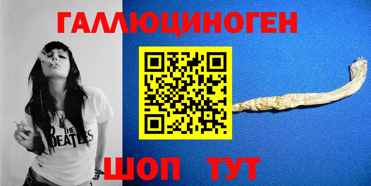 купить закладку  Псилоцибиновые грибы прущие грибы  Вход с VPN  Ессентуки 
