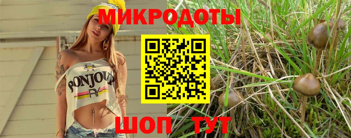 Галлюциногенные грибы прущие грибы Ессентуки